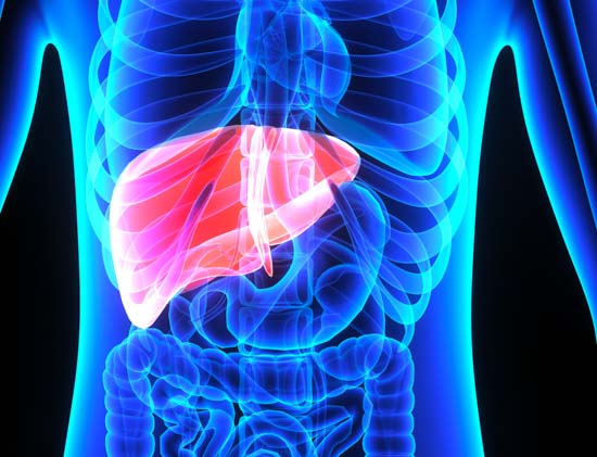 10 foods to help you maintain a healthy liver